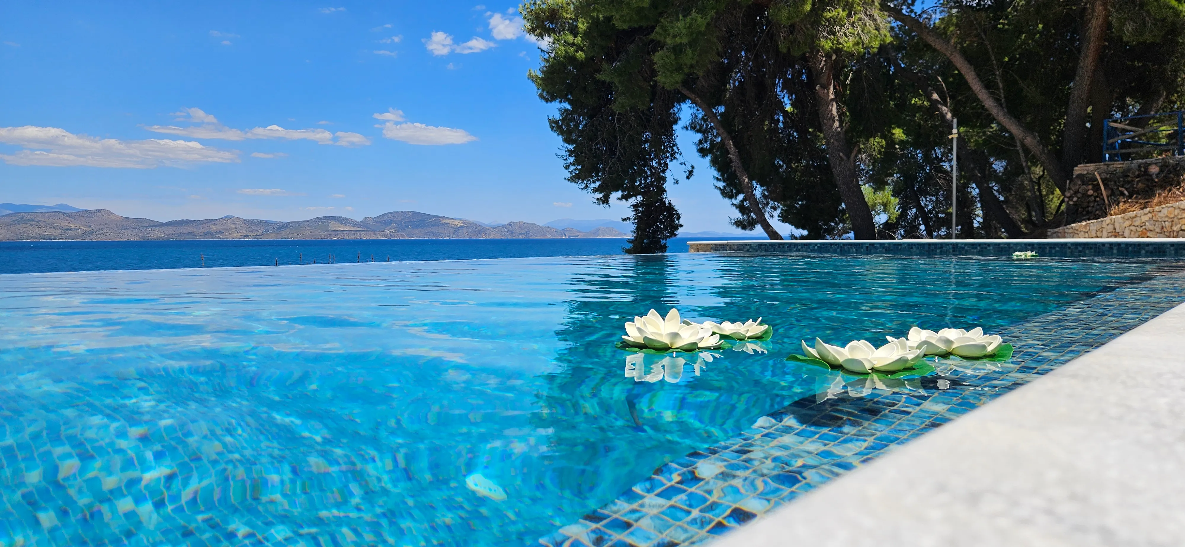 White flowers floating on the turquoise mosaic infinity pool