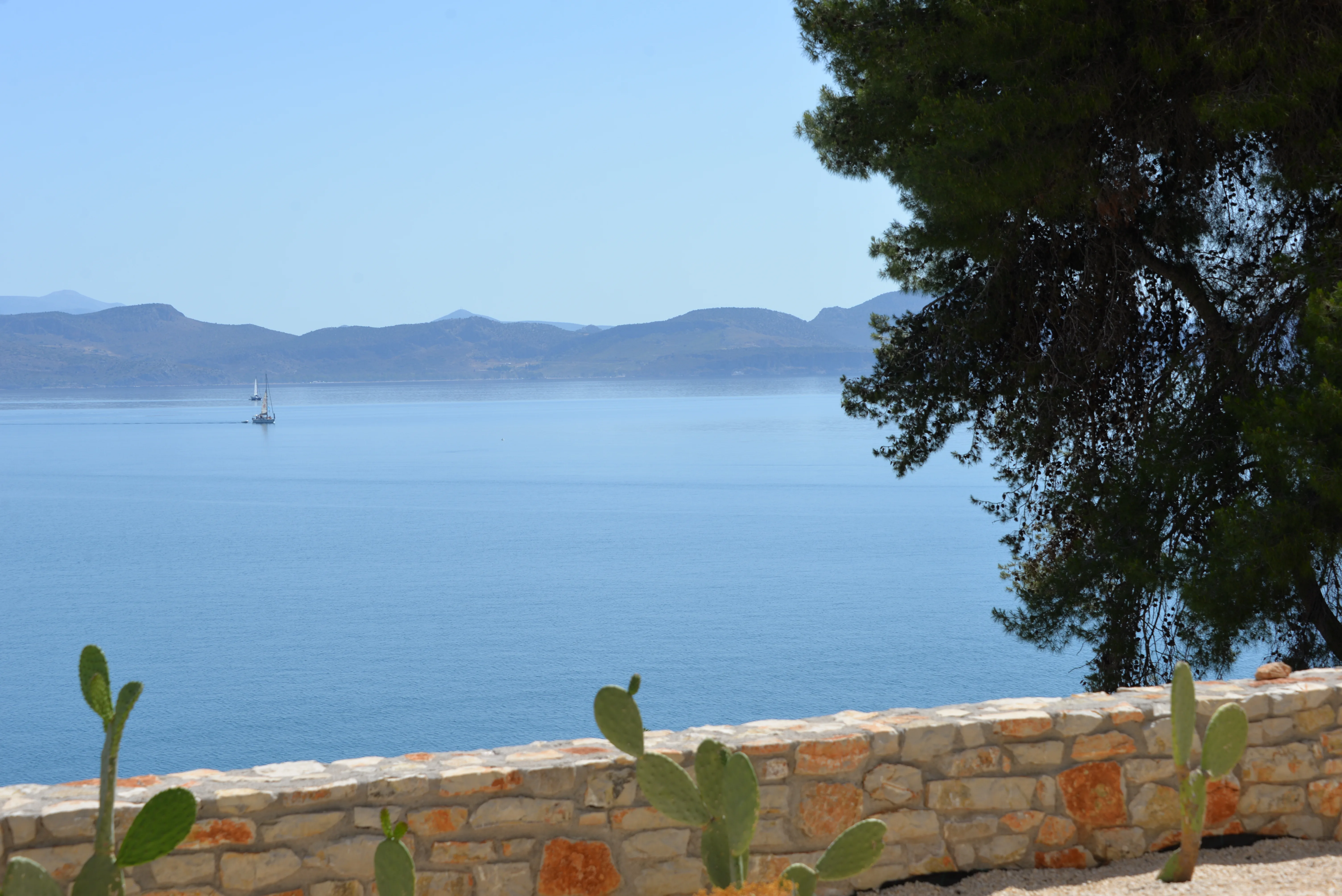The gulf seen over a stone wall with a prickly pear cactus