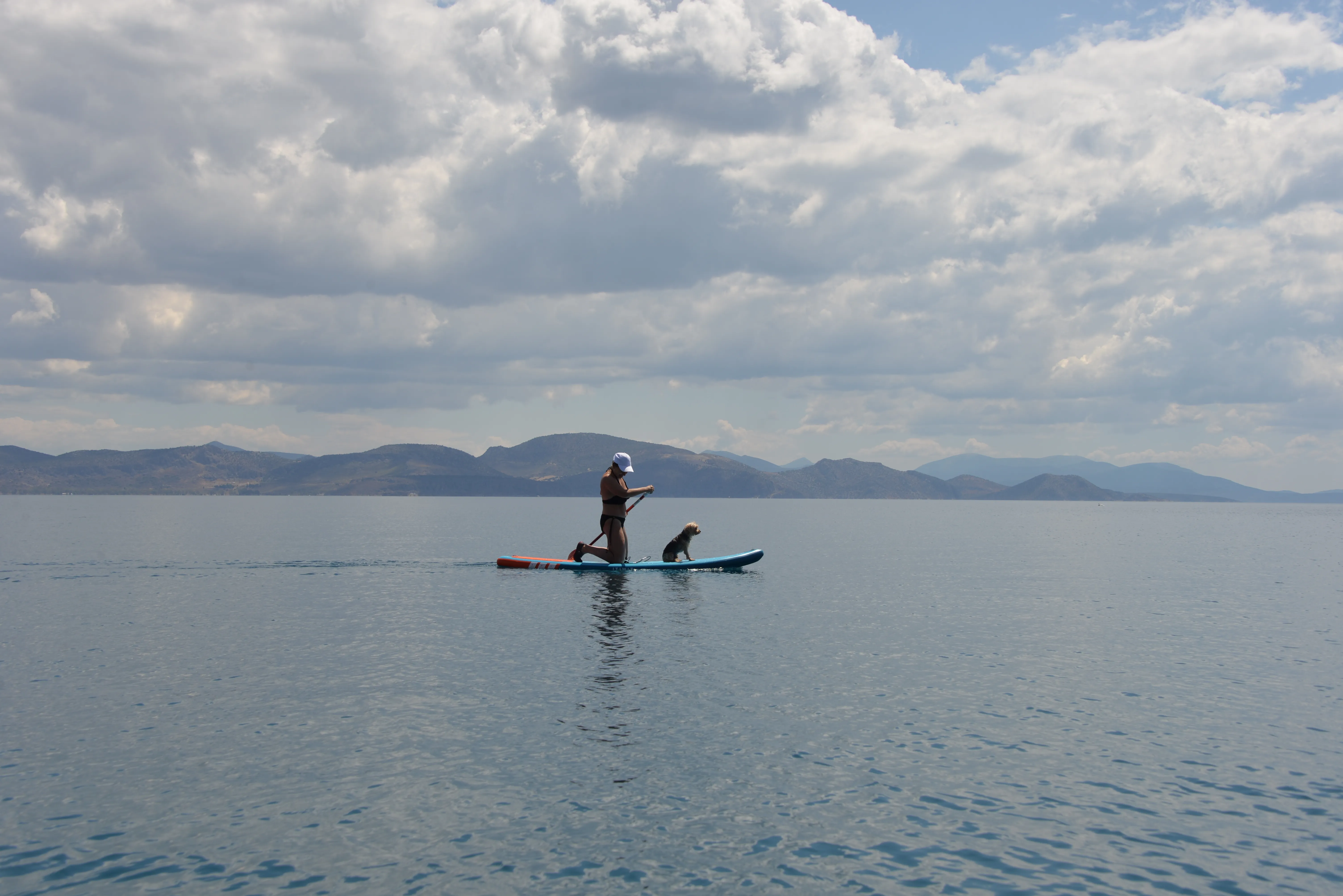 Paddleboarder with a dog crossing the calm gulf